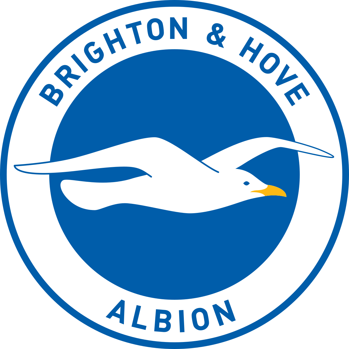 Brighton & Hove Albion logo
