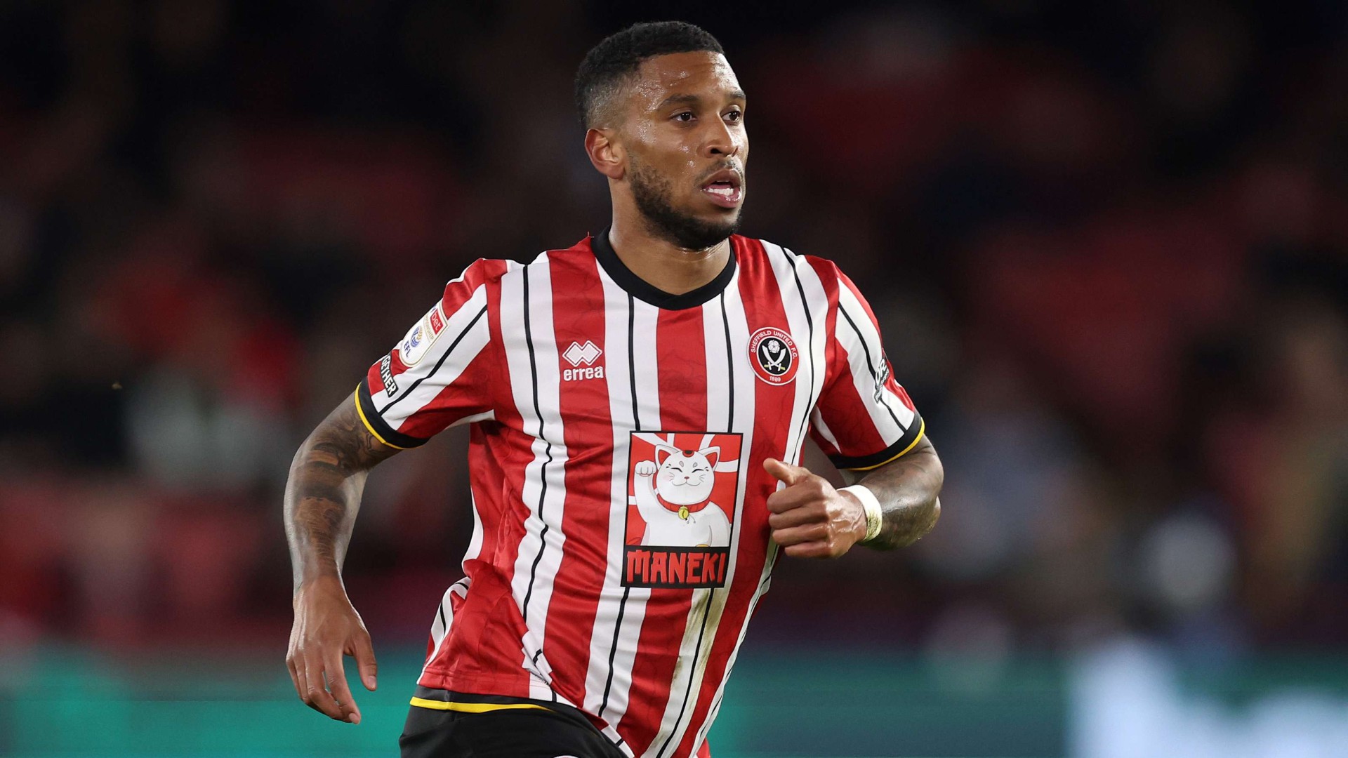 Sheffield United v Queens Park Rangers cover