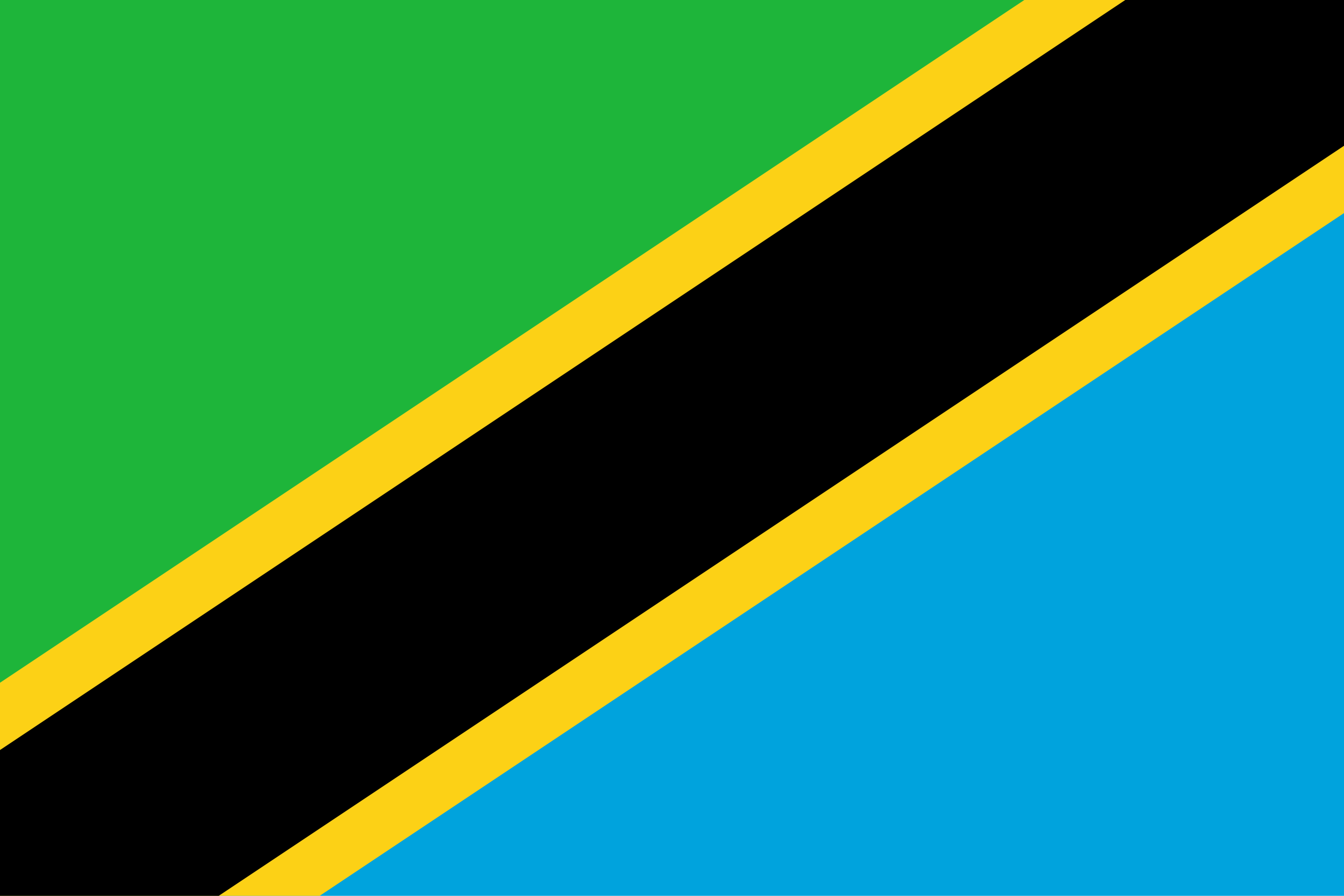 Tanzania logo